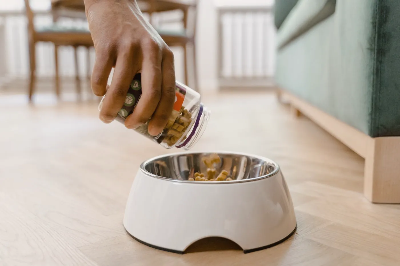 A hand pouring pet treats from a jar into a stainless steel dog bowl in a home living room